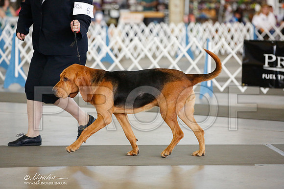 _JJ_3904-DallasJul2014-HR3