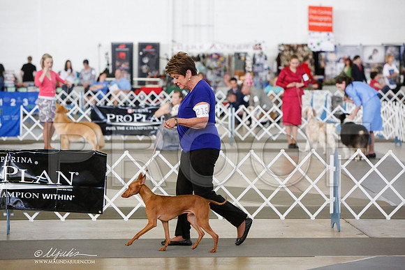 _JJ_7436-DallasJul2014-HR3