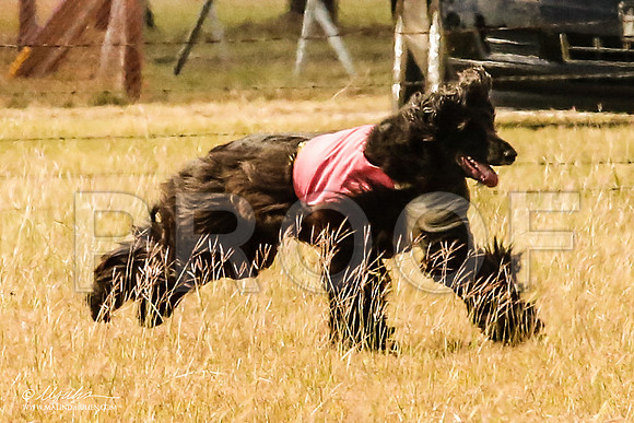 _MJ_5474-AfgBeltonOct2014-HR3