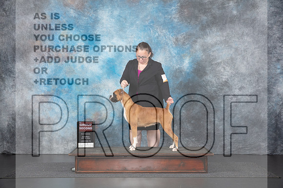 Boxer #205 Sat G2 Judge Nancy Gallant__JP_1198_UKCLNGVIEWOCT2024_2024_HR3