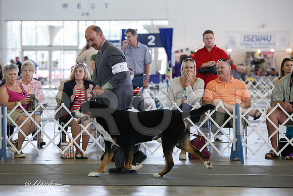 _JJ_1695-DallasJul2014-HR3