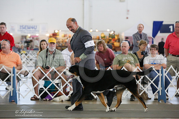 _JJ_1690-DallasJul2014-HR3