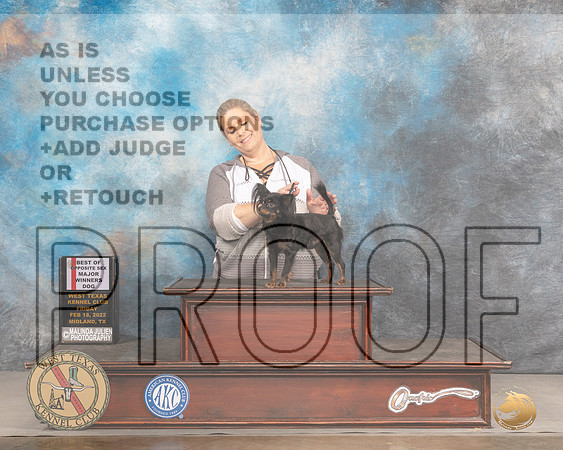 Russian Toy #9 Fri BOSWD Judge Brad JenkinsMMJ_3166_Mdlnd2022_HR3
