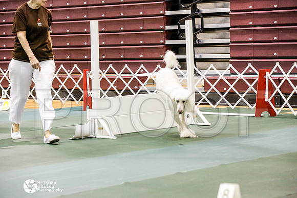 _JJ_4475-BsrCtyJun2014-HR3