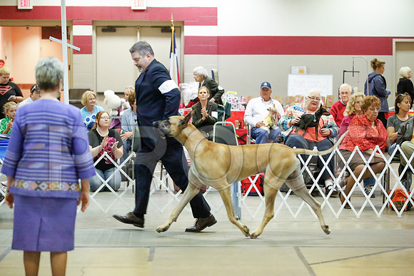 _JJ_0304-AmarilloSept2014-HR3