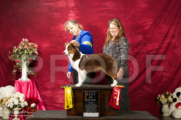 _ST_3015-BeltonJan2015IABCA-HR3