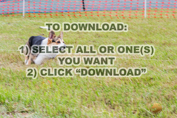 *Precision Coursing Sat-JJL_0929_Batesville_2024-HR3