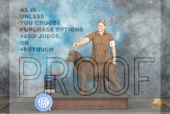 Chesapeake Bay Retriever #5 Sun G1 Judge Nancy Simmons__JP_4190_Lubbock_2024_HR3