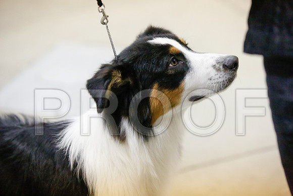 _JJ_2947-AmarilloSept2014-HR3