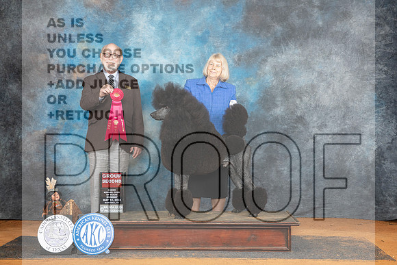 Poodle Std #11 Sun G2 Judge Tim Robbins__JP_8908_MARSHALL_2024_HR3