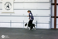 CBT 9-12 Dogs Sun Ring