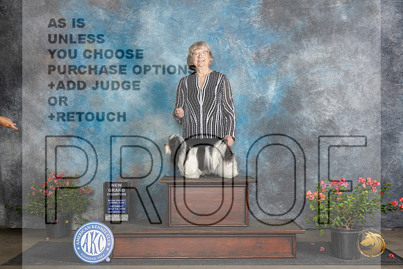Havanese #6 Sat BOSGCH Judge Christine Martinez__JP_5891_San Antonio_2024_HR3