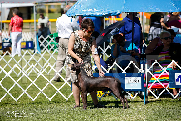 _JJ_8507-AlamogordoOct2014-HR3