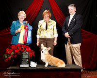 #276 Fri NovB1st Nov 2nd RE 3rd New Title Beg Novice