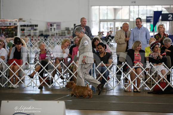 _JJ_2293-DallasJul2014-HR3