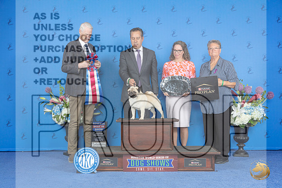 Pug #5 FRI RBIS Judge Jon Cole__JP_9599_Houston_2024_HR3