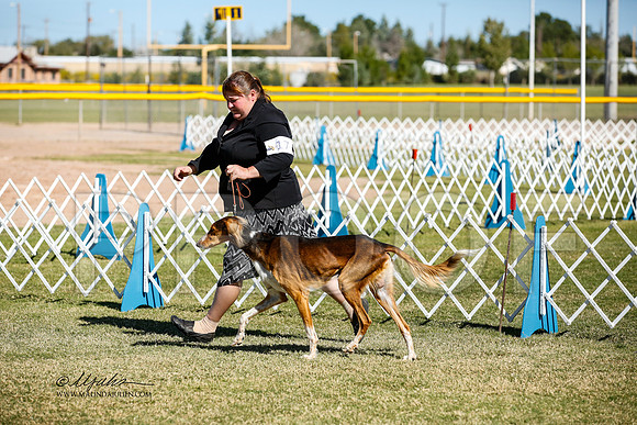 _JJ_2696-AlamogordoOct2014-HR3