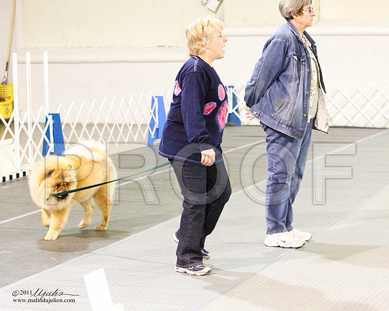 Beg Nov B Sat-8165