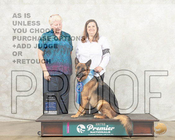 German Shepherd Dog #211 Wed POC Judge Karen Cattin_MMJ_6653_Premier_2022_HR3