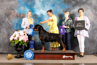 Rottweiler #15 Sat G1 Judge Patricia Sosa