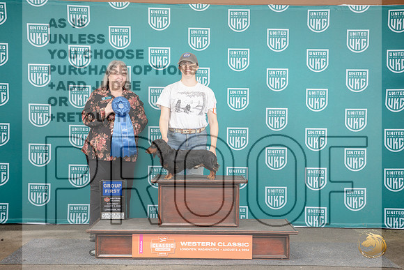 Dachshund #119 Fri G1 Total Dog Judge Kathrine Short Judge Kevin Carroll Sat G1 Judge Malinda Julien __JP_1442_Longview WA_2024_HR3