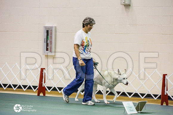 _JJ_3471-BsrCtyJun2014-HR3