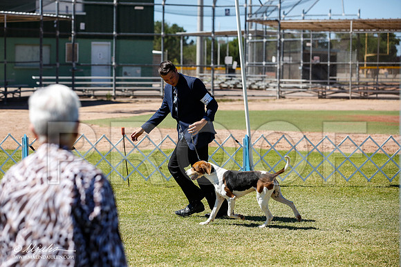 _JN_5198-AlamogordoOct2014-HR3