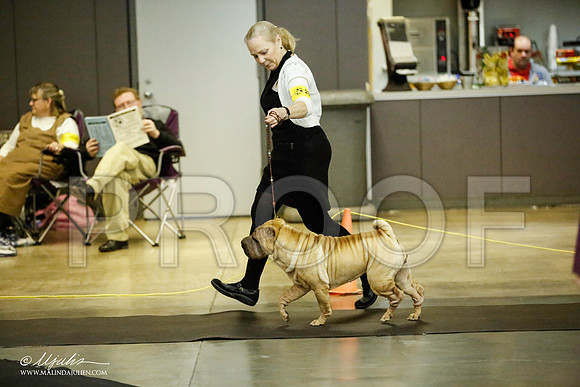 _JJ_5786-BeltonJan2015IABCA-HR3