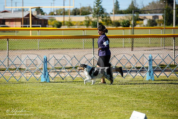 _JN_7800-AlamogordoOct2014-HR3