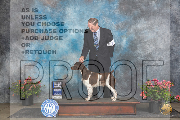 Brittany #7 Fri WDBOWM Judge Elizabeth ‘Beth’ Sweigart__JP_4418_San Antonio_2024_HR3