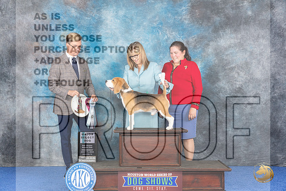 Beagle 15 #11 WED SD Judge Douglas Johnson__JP_6571_Houston_2024_HR3