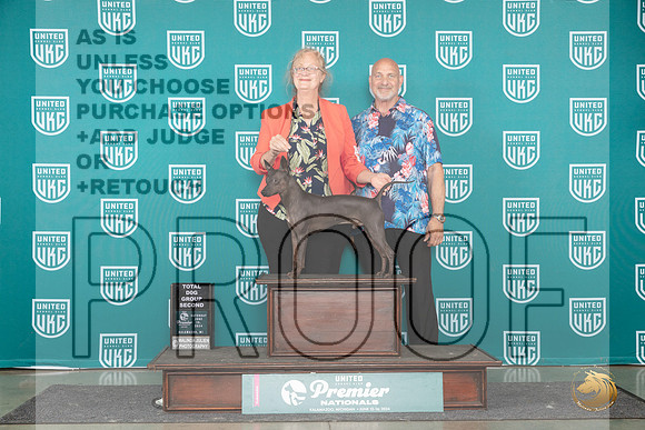 America Hairless Terrier #719 Sat TDG2 Judge Diane Price__JP_2696_Premier_2024_HR3