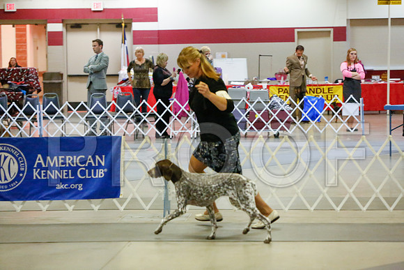 _JJ_1935-AmarilloSept2014-HR3