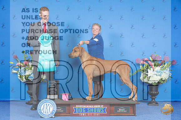 Rhodesian Ridgeback #19 THUR OHBIS Judge Ronald Freeman__JP_8515_Houston_2024_HR3