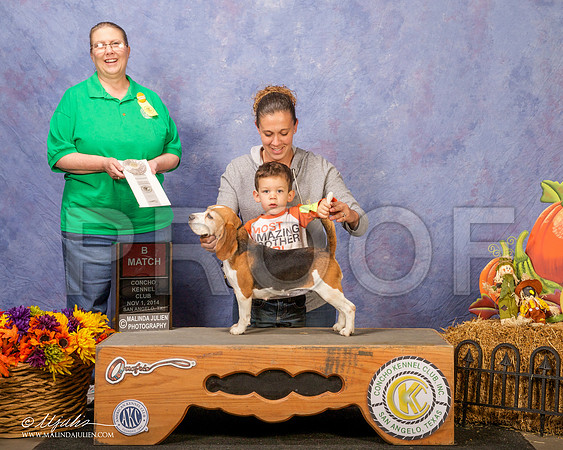 _CL_4566 - Version 2-SanAngelo2014-HR3