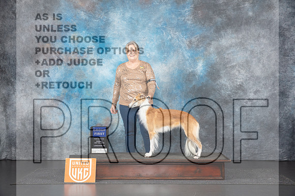 Silken Windhound #108 Sun BOB G1 Judge Terri Rein__JP_1399_UKCLNGVIEWOCT2024_2024_HR3