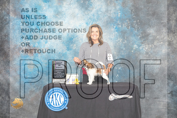 Papillon #33 Sat BPup Judge Brad Jenkins_MJ_0218_HstnTOY_2022_HR3
