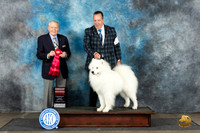 Samoyed #7 Sun G2 Judge David Bolus
