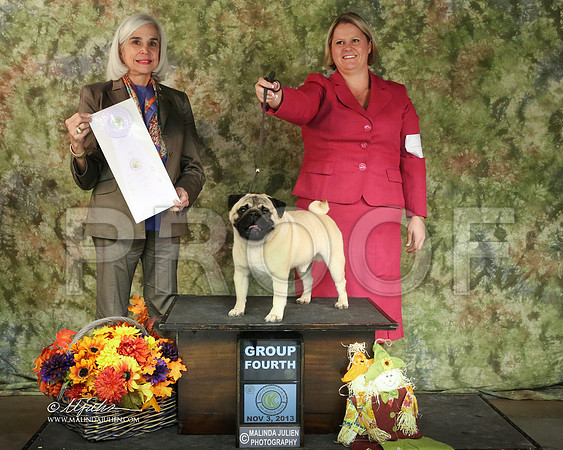 pug-7530-SANov13-HR