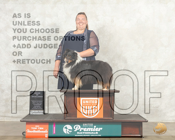 Shetland Sheepdog #1184 Thurs AOE Judge Sandra Sproull Kowalski__MJ_7316_Premier_2022_HR3