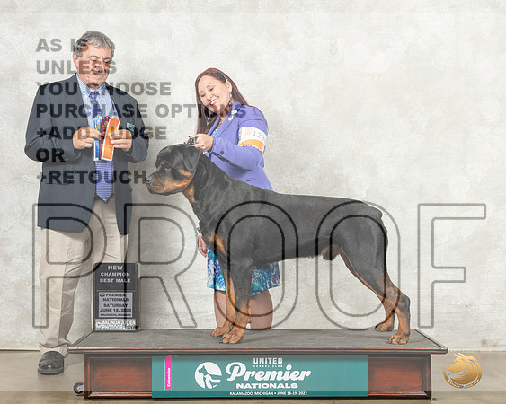 Rottweiler #1296 Sat BMCh Judge Ronald Sacca__MJ_8531_Premier_2022_HR3