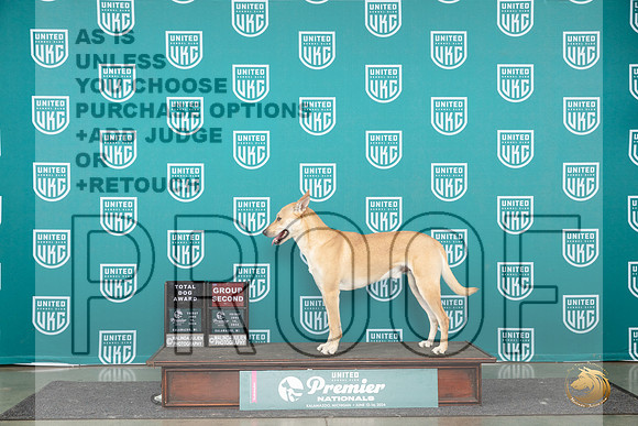 Carolina Dog # Fri G2 Judge Katherine Short__JP_2673_Premier_2024_HR3