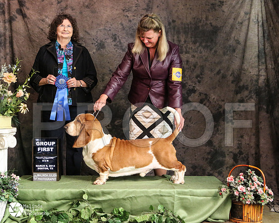 basset-3550-DntnMar14-HR3