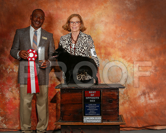 _ST_2392-2-CarlrolltonSept2014-HR3