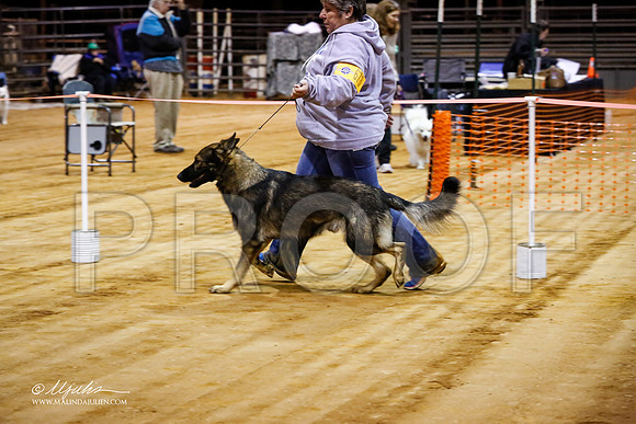 GSD-7273-MrshllDec13-HR
