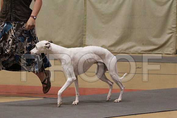 MJS_4344