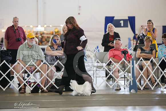 _JJ_3271-DallasJul2014-HR3