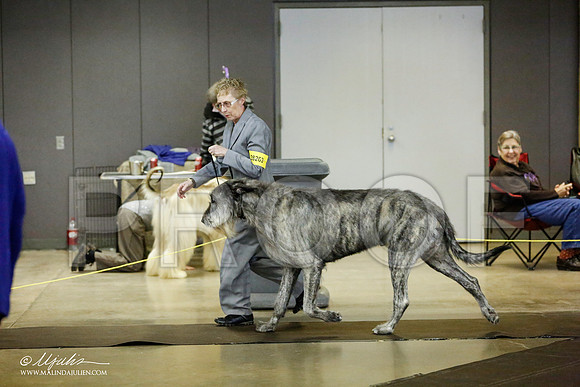 _RH_1381-BeltonJan2015IABCA-HR3