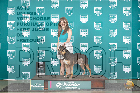 American Bully #1417 Thur Dock Judge James Birch__JP_0948_Premier_2024_HR3
