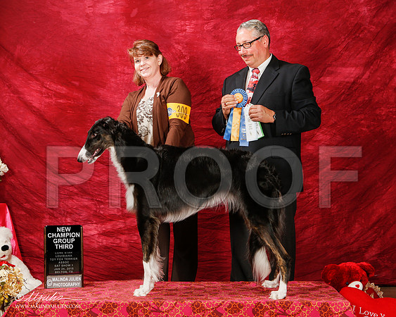 _ST_2173-BeltonJan2015e-HR3